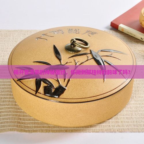 揭开普洱茶的神秘面纱，你闻到那独特的韵味了吗？