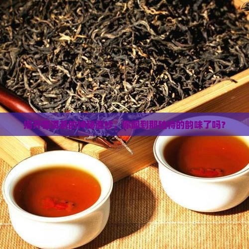 揭开普洱茶的神秘面纱，你闻到那独特的韵味了吗？