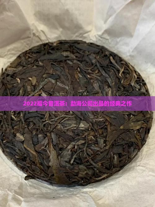 2022福今普洱茶：勐海公司出品的经典之作