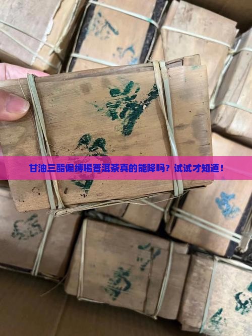 甘油三酯偏缚喝普洱茶真的能降吗？试试才知道！