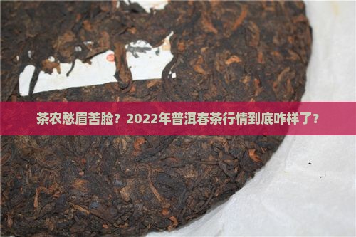 茶农愁眉苦脸？2022年普洱春茶行情到底咋样了？