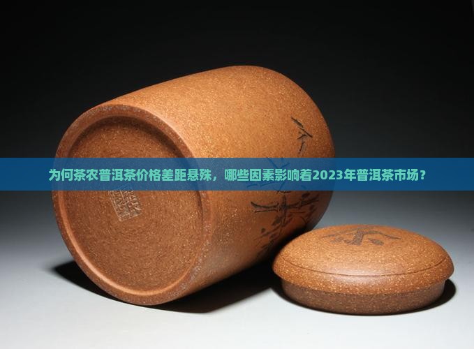 为何茶农普洱茶价格差距悬殊，哪些因素影响着2023年普洱茶市场？
