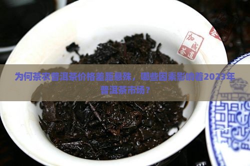 为何茶农普洱茶价格差距悬殊，哪些因素影响着2023年普洱茶市场？