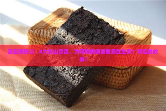 茶友圈热议：8大名山普洱，为何我偏偏偏爱易武生普？背后的故事！