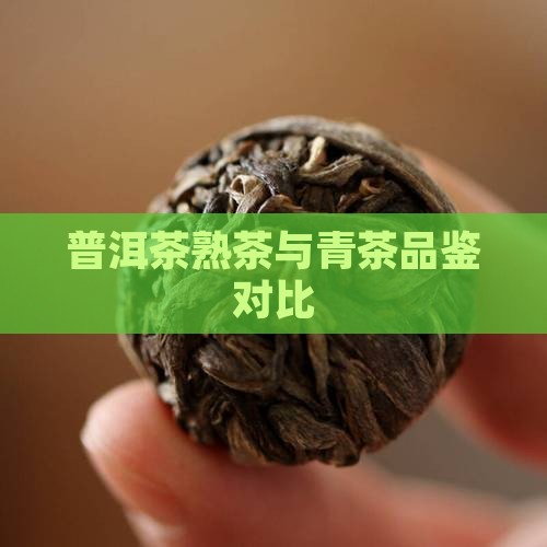 普洱茶熟茶与青茶品鉴对比