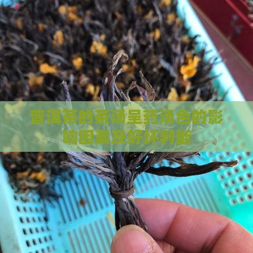普洱茶的茶汤呈药汤色的影响因素及好坏判断