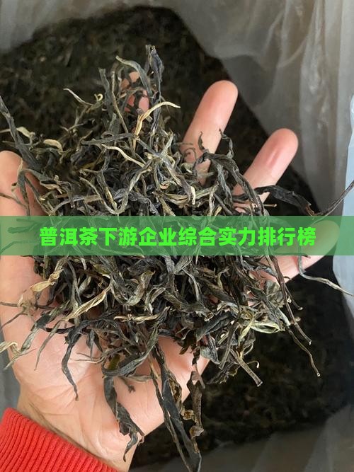 普洱茶下游企业综合实力排行榜