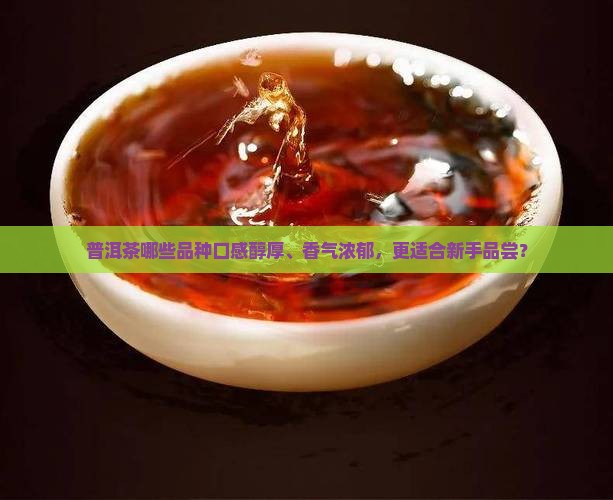 普洱茶哪些品种口感醇厚、香气浓郁，更适合新手品尝？