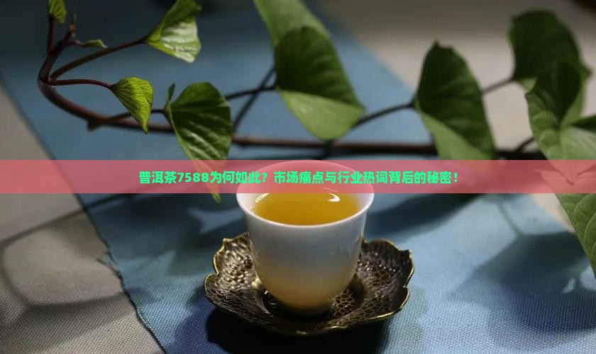 普洱茶7588为何如此？市场痛点与行业热词背后的秘密！