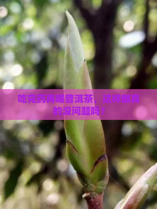吃完药再喝普洱茶，这样做真的没问题吗？