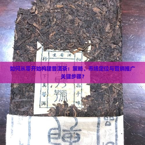 如何从零开始构建普洱茶：策略、市场定位与营销推广关键步骤？