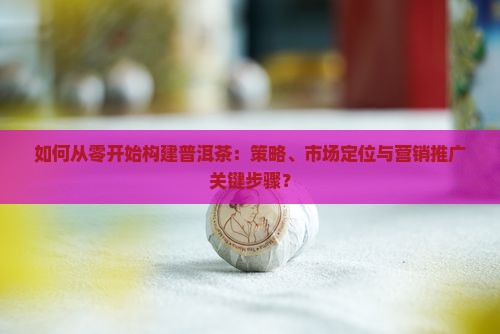 如何从零开始构建普洱茶：策略、市场定位与营销推广关键步骤？