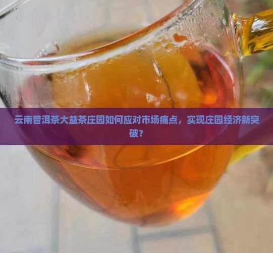 云南普洱茶大益茶庄园如何应对市场痛点，实现庄园经济新突破？