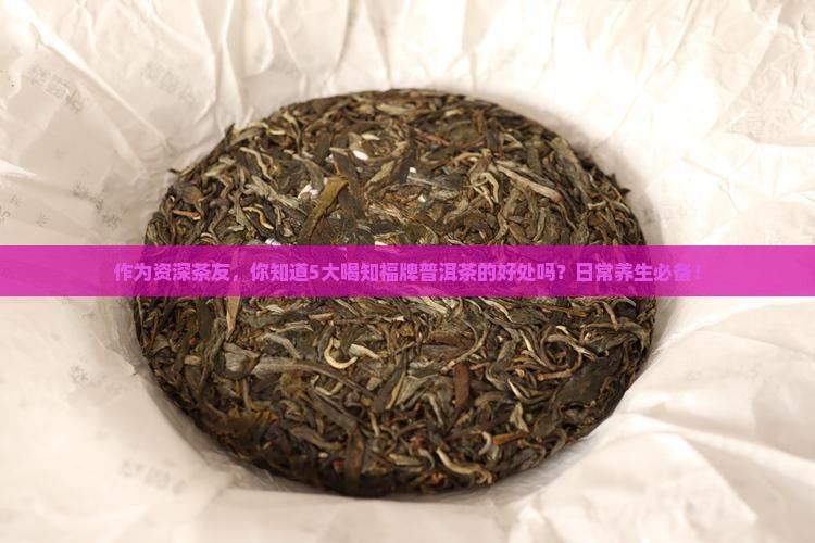 作为资深茶友，你知道5大喝知福牌普洱茶的好处吗？日常养生必备！