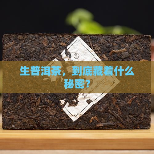 生普洱茶，到底藏着什么秘密？