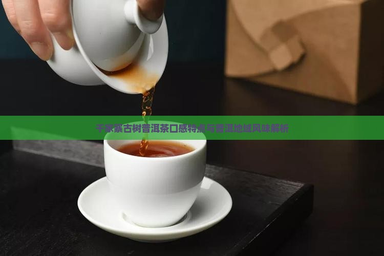 千家寨古树普洱茶口感特点与普洱地域风味解析