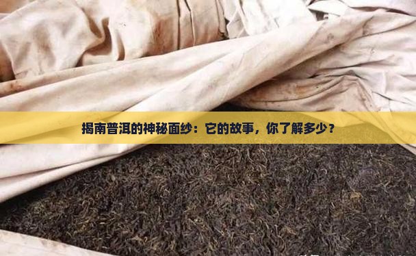 揭南普洱的神秘面纱：它的故事，你了解多少？
