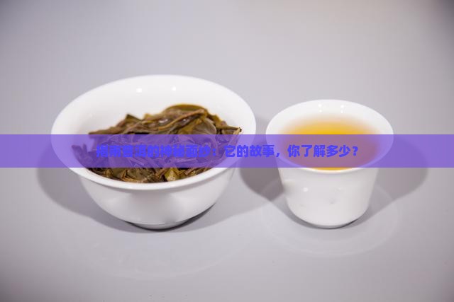 揭南普洱的神秘面纱：它的故事，你了解多少？
