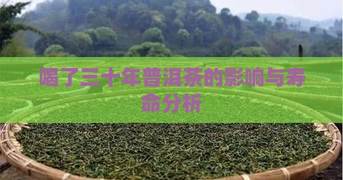 喝了三十年普洱茶的影响与寿命分析