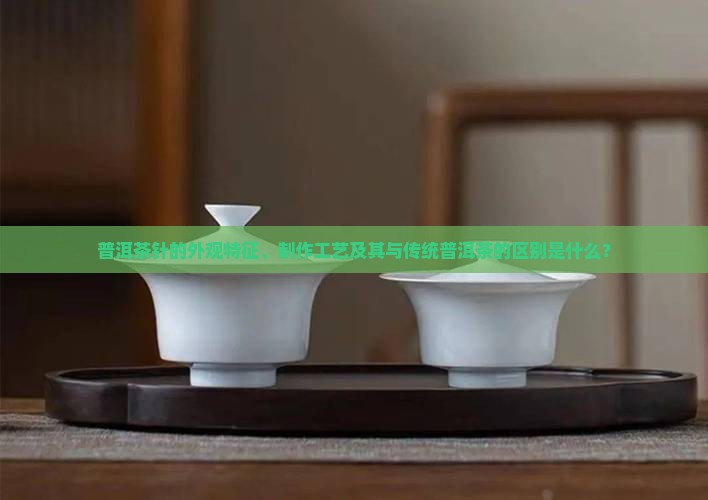 普洱茶针的外观特征、制作工艺及其与传统普洱茶的区别是什么？