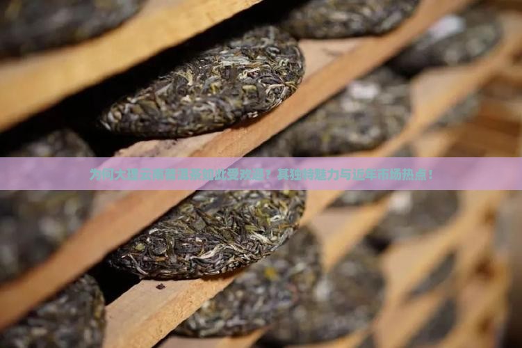为何大理云南普洱茶如此受欢迎？其独特魅力与近年市场热点！