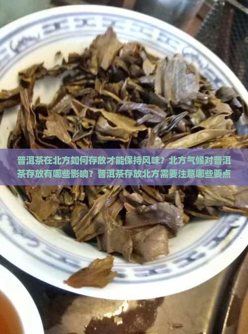 普洱茶在北方如何存放才能保持风味？北方气候对普洱茶存放有哪些影响？普洱茶存放北方需要注意哪些要点？