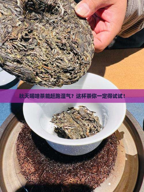 秋天喝啥茶能赶跑湿气？这杯茶你一定得试试！