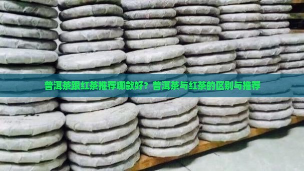 普洱茶跟红茶推荐哪款好？普洱茶与红茶的区别与推荐