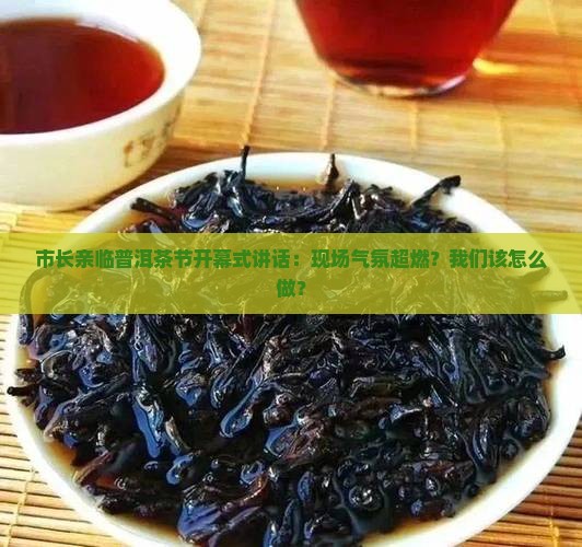 市长亲临普洱茶节开幕式讲话：现场气氛超燃？我们该怎么做？