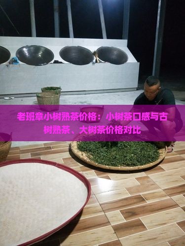 老班章小树熟茶价格：小树茶口感与古树熟茶、大树茶价格对比