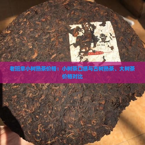老班章小树熟茶价格：小树茶口感与古树熟茶、大树茶价格对比