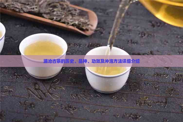 澜沧古茶的历史、品种、功效及冲泡方法详细介绍