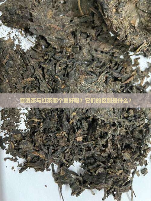 普洱茶与红茶哪个更好喝？它们的区别是什么？