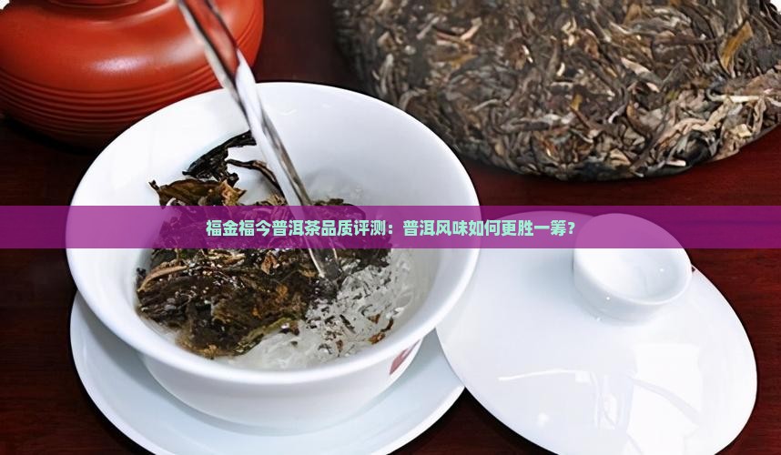 福金福今普洱茶品质评测：普洱风味如何更胜一筹？