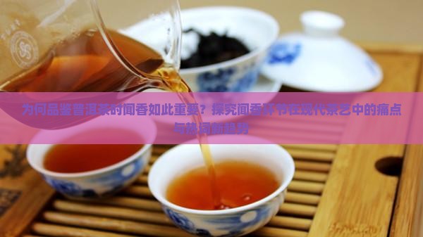 为何品鉴普洱茶时闻香如此重要？探究闻香环节在现代茶艺中的痛点与热词新趋势