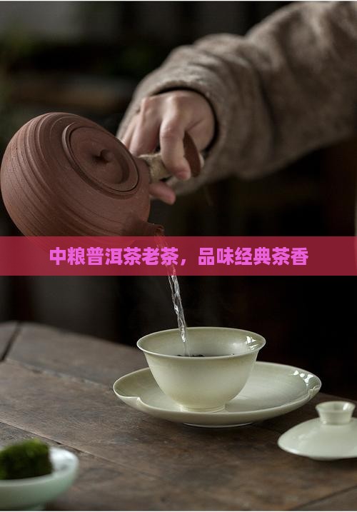 中粮普洱茶老茶，品味经典茶香