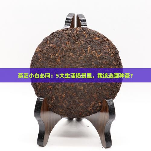 茶艺小白必问：5大生活场景里，我该选哪种茶？
