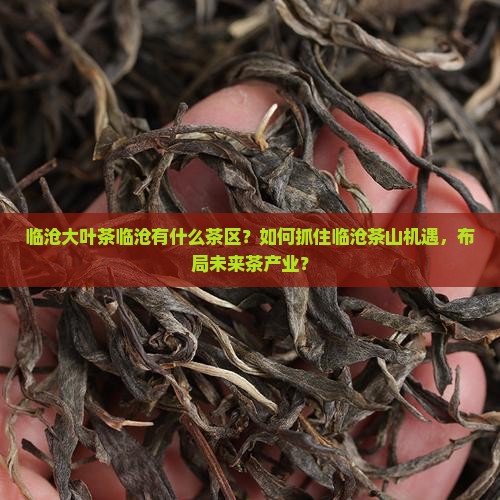 临沧大叶茶临沧有什么茶区？如何抓住临沧茶山机遇，布局未来茶产业？