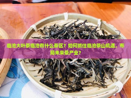 临沧大叶茶临沧有什么茶区？如何抓住临沧茶山机遇，布局未来茶产业？