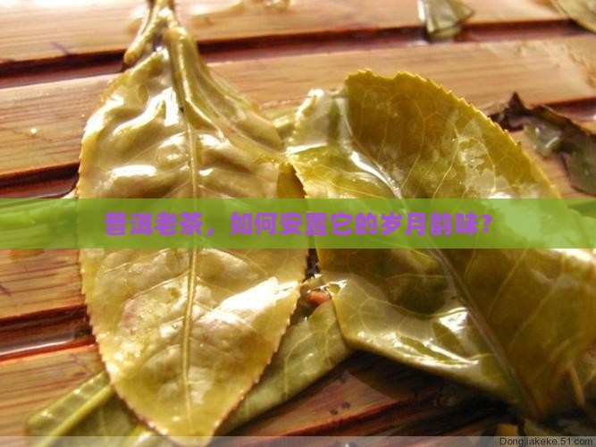普洱老茶，如何安置它的岁月韵味？
