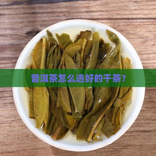 普洱茶怎么选好的干茶？