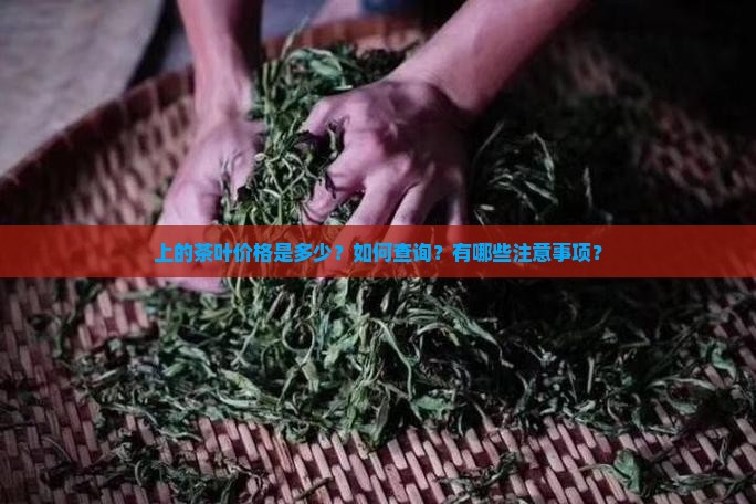 上的茶叶价格是多少？如何查询？有哪些注意事项？