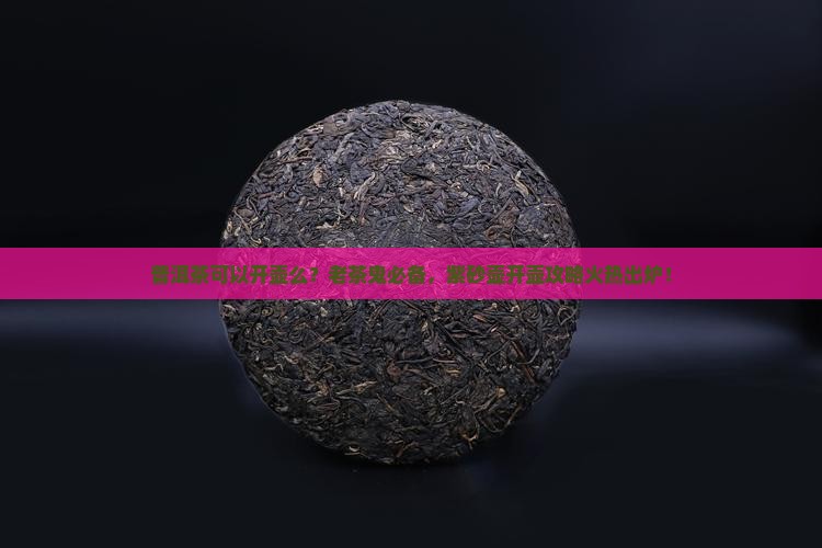 普洱茶可以开壶么？老茶鬼必备，紫砂壶开壶攻略火热出炉！