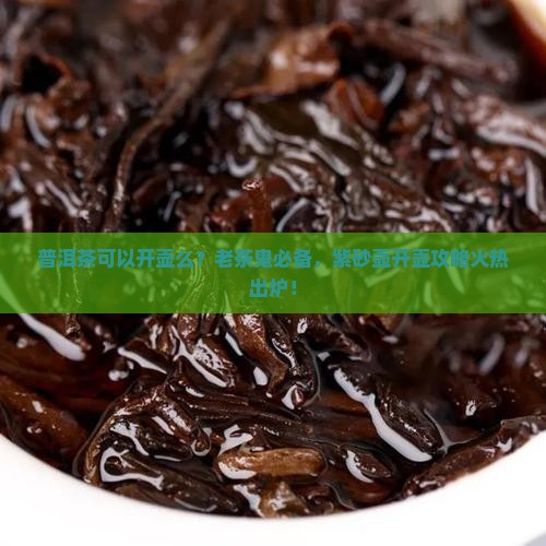 普洱茶可以开壶么？老茶鬼必备，紫砂壶开壶攻略火热出炉！