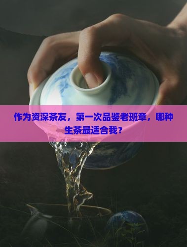 作为资深茶友，第一次品鉴老班章，哪种生茶最适合我？