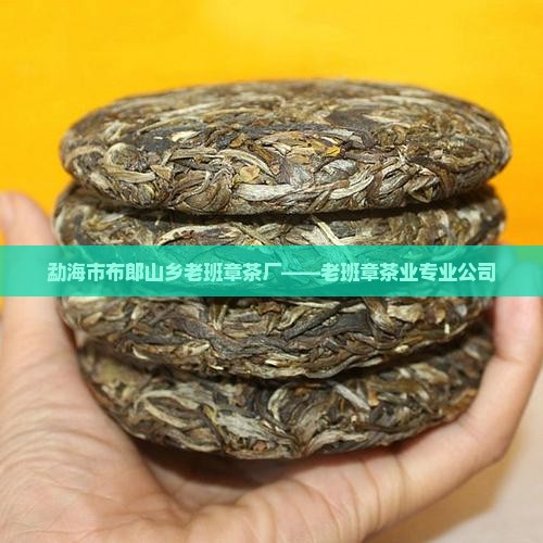 勐海市布郎山乡老班章茶厂——老班章茶业专业公司