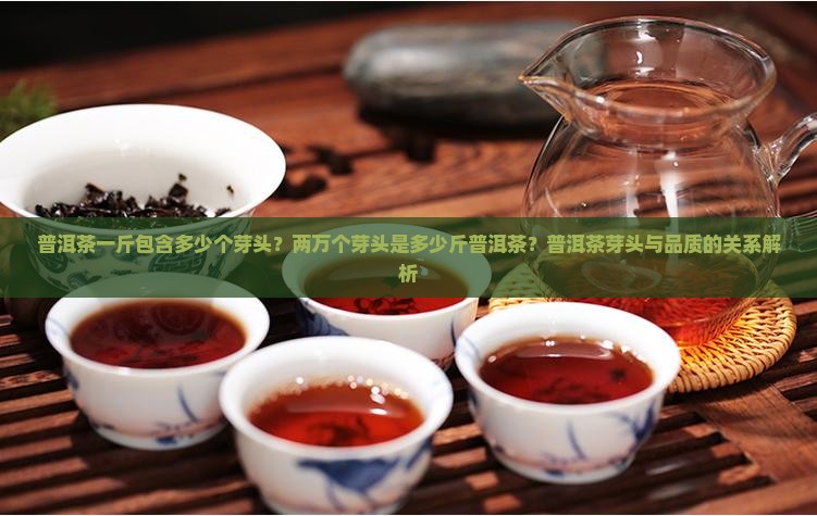 普洱茶一斤包含多少个芽头？两万个芽头是多少斤普洱茶？普洱茶芽头与品质的关系解析