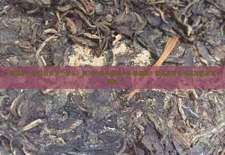 普洱茶一斤包含多少个芽头？两万个芽头是多少斤普洱茶？普洱茶芽头与品质的关系解析