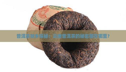 普洱茶故乡探秘：云南普洱茶的秘密藏在哪里？