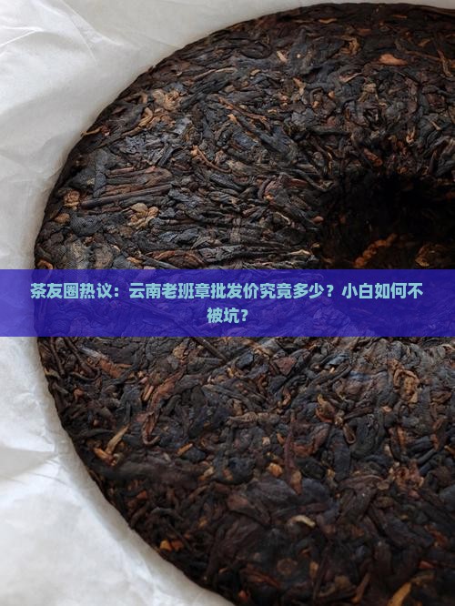 茶友圈热议：云南老班章批发价究竟多少？小白如何不被坑？